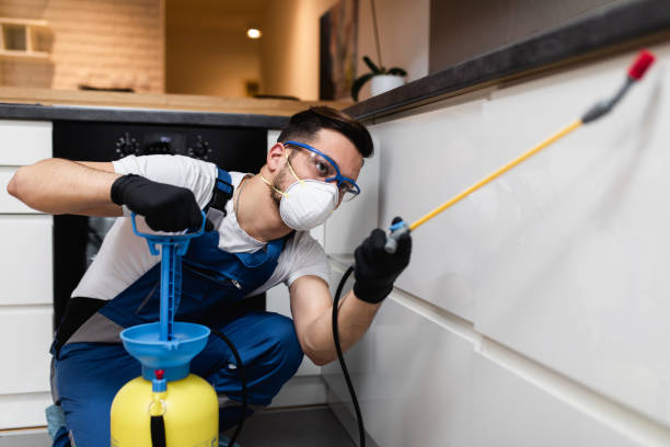 Best Residential Pest Control  in Elmhurst, IL