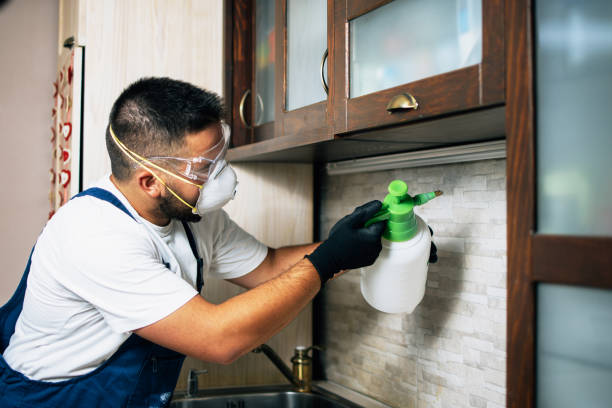 Best Best Pest Control Companies  in Elmhurst, IL