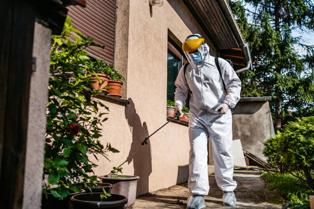 Wildlife Control Services in Elmhurst, IL