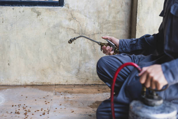 Best Best Pest Control Companies  in Elmhurst, IL